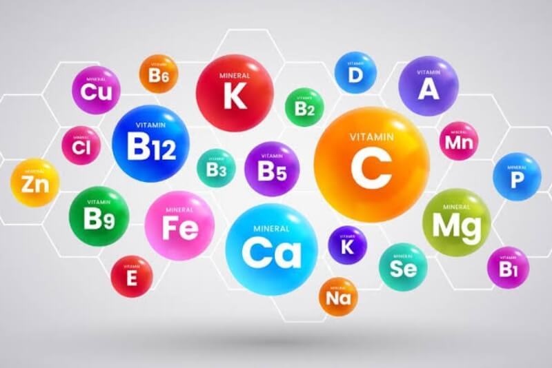 Cung cấp các loại vitamin hàng ngày